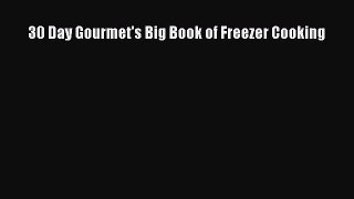 PDF Download 30 Day Gourmet's Big Book of Freezer Cooking Read Full Ebook