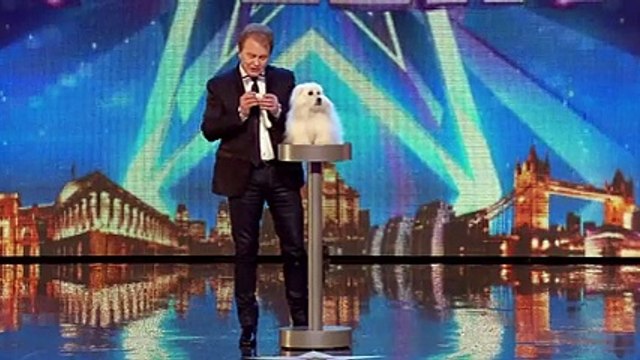 Konuşan Köpek Herkesi Şaşkına Çevirdi.. Yok Böyle Bir Şey