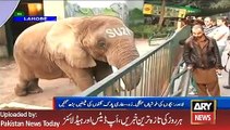 ARY News Headlines 15 January 2016,  Public Views about Lahore Z