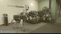 Robot - Vurmayın (Trend Videolar)