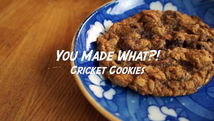 Cricket Chocolate Chip Oatmeal Cookies - You Made What?! - bug recipe