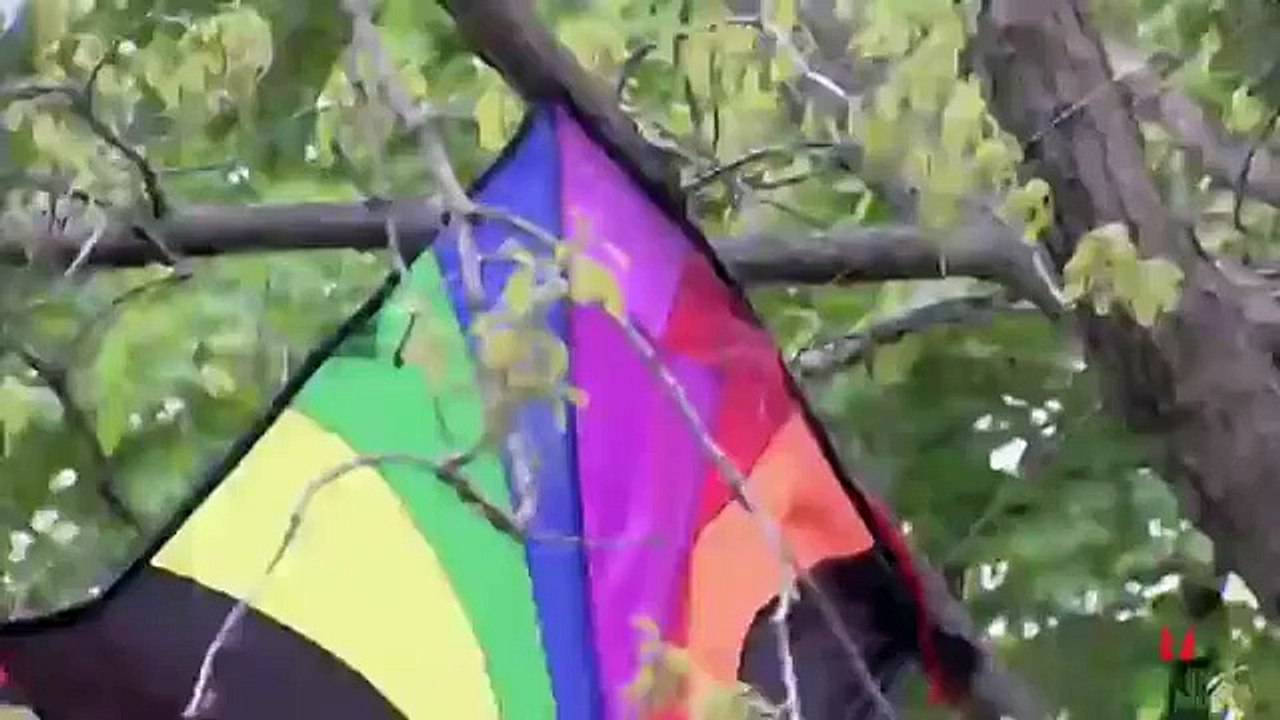Funny Videos 3