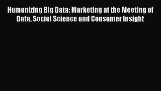 Humanizing Big Data: Marketing at the Meeting of Data Social Science and Consumer Insight [PDF