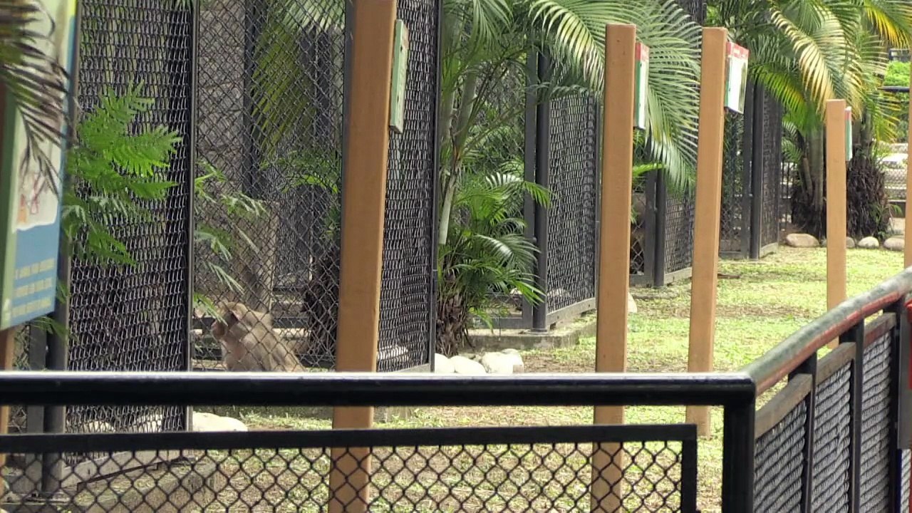 Zoo fechado