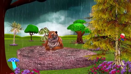 Animals Cartoon Like Tiger Dinosaurs And King Kong Singing Finger Family Children Nursery