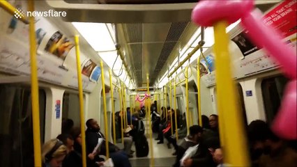 Balloon animals tied to the poles in London Underground train