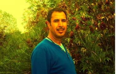 chanson de Tizi la belle Tizi la rebelle