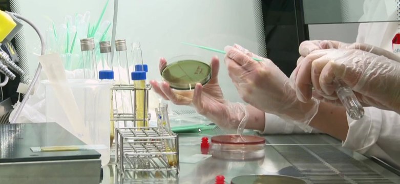 Путин и эбола: Путин гордо выдумал лекарство от эболы