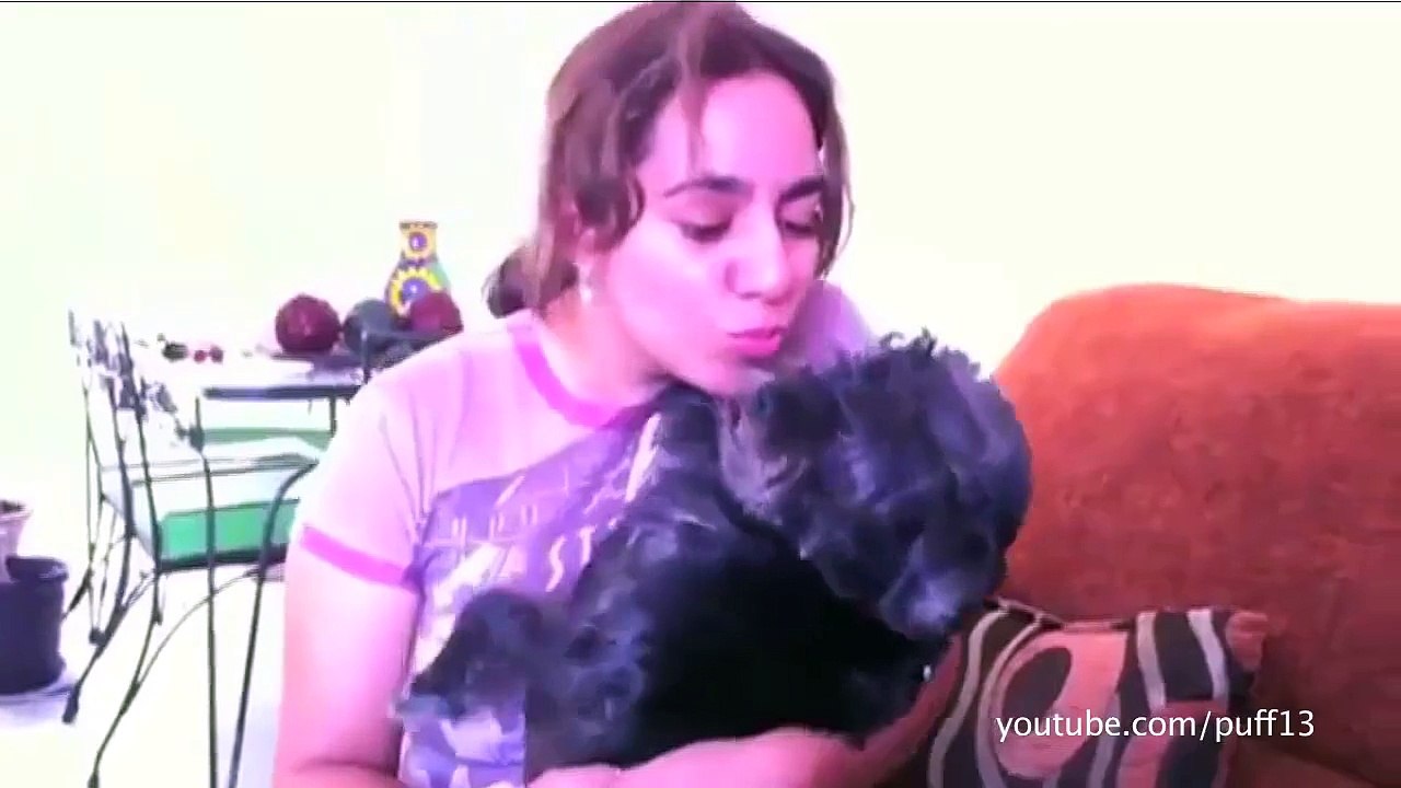 Pets just hate kisses - Hilarious animal compilation