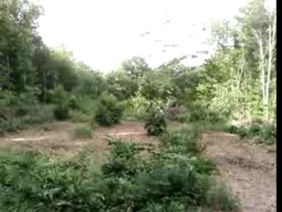 Béber est cho