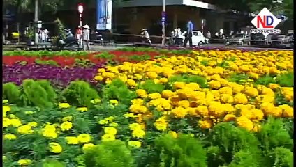 LIÊN KHÚC NHẠC CHÚC MỪNG NĂM MỚI - XUÂN BÍNH THÂN 2016 PART III