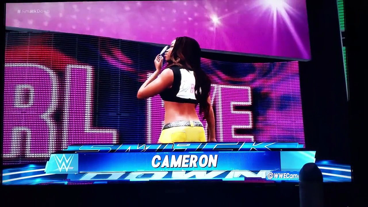 WWE DIVAS Cameron vs. Harley Quinn PTDC LVL1