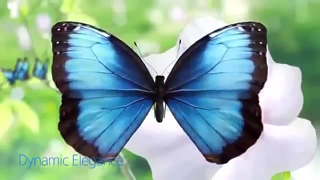 Báo giá máy lạnh Samsung - Lắp đặt, bảo trì máy lạnh 0837 19 29 00