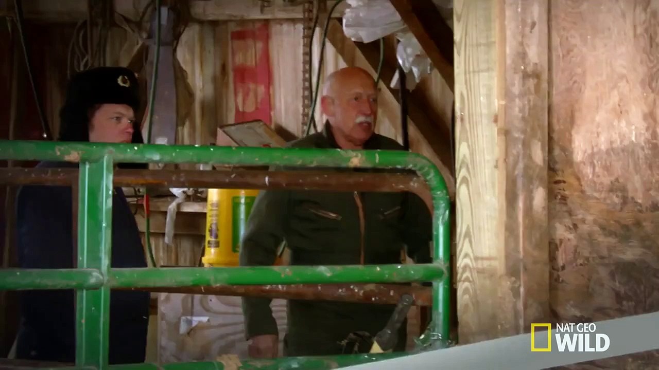 Cow a bunga! | The Incredible Dr. Pol