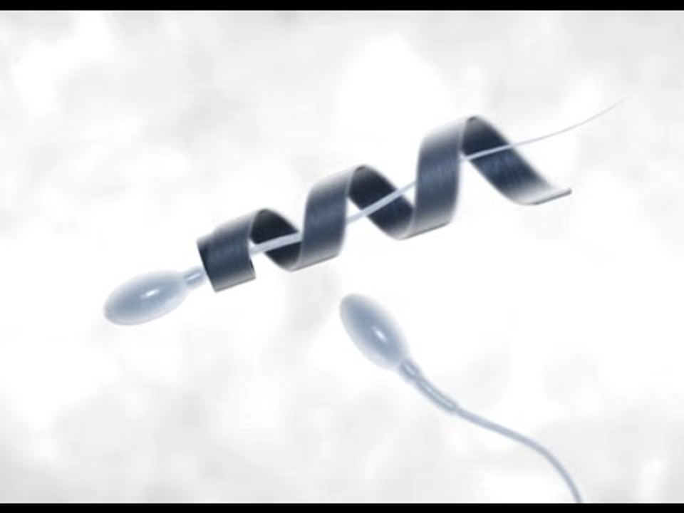 Spermbot could help solve male infertility - Headline Science
