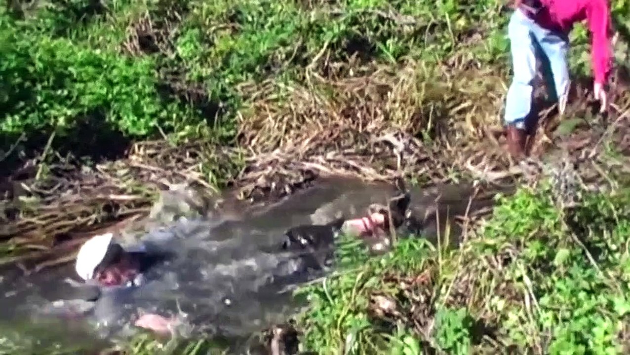 Best Fails of the Week 3 June 2015 || FailArmy
