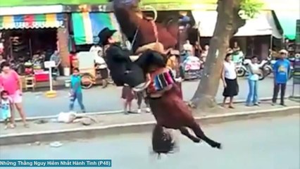 Hài VL - Những thằng chơi ngu nhất thế giới phần 48 [Tin Việt TV]