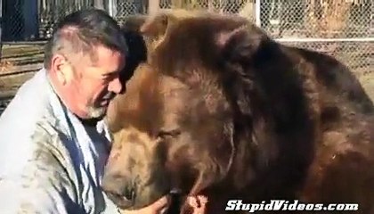 Friendly Grizzly Bear