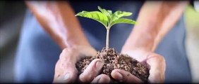 We Are Growing Asia - An Introduction to Asia Plantation Capital
