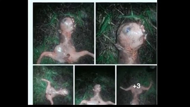 “Real” Alien Found Dead Shortly After UFO Sighting in California