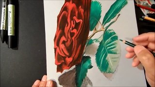 Amazing 3D Art - Drawing a 3D Red Rose