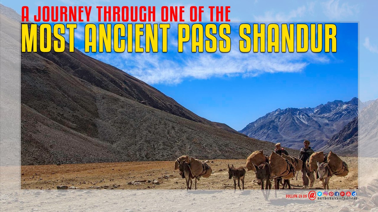 Journey Shandur Pass