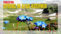 SPRING IN Azad KASHMIR Pakistan