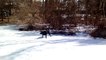 Ce labrador glisse de façon hilarante sur la neige !