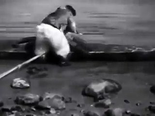 funny vines funny videos nice funny boat 2016*best vines *funny vines video