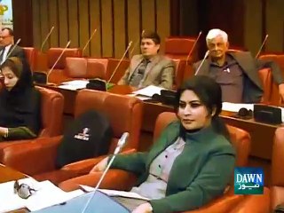 Ayyan Ali's style under spotlight in Senate