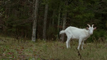 Game of War- Live Action Trailer - ft. Kate Upton