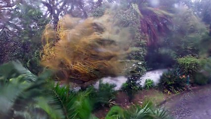 tempête acores 15/01/2015