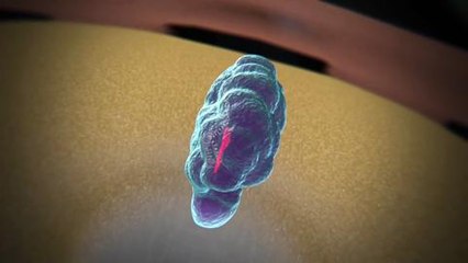 Premio Princesa de Asturias para un método de edición de ADN