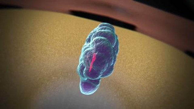 Premio Princesa de Asturias para un método de edición de ADN