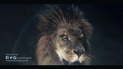 Karachi Kings Promo (Bilawal Bhati)(11-01-16)