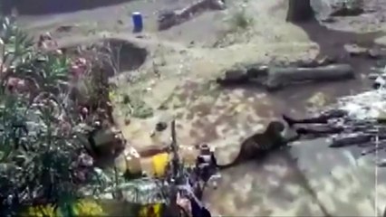 Leopard attacks a man in India village