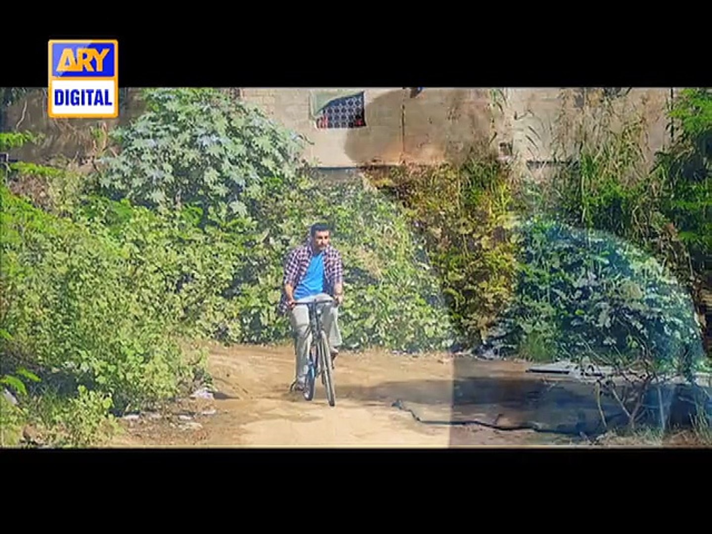 Shehzada Saleem  - ARY Digital