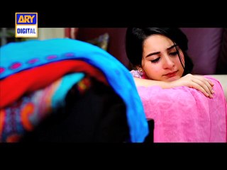 Shehzada Saleem  - ARY Digital