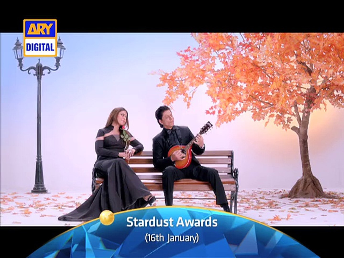 Stardust Awards  - ARY Digital