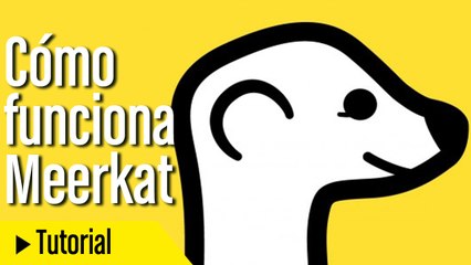Cómo funciona Meerkat