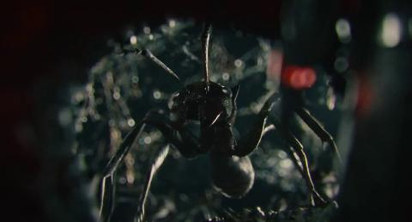 Tráiler español Ant-Man