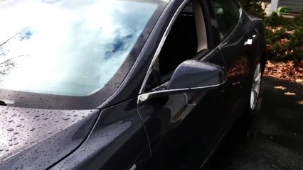 Man asks his Tesla Car to come as it was a Dog