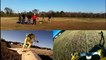 Nouveau sport de dingue : le WingBoard - Voler debout sur une planche