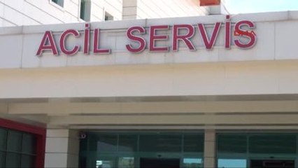 Kahramanmaraş'ta Domuz Gribinden Ölüm