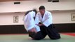 Les sélections techniques Aikido de Michel Erb Sensei Part 20 Hamni Handachi Katate Dori Shihonage