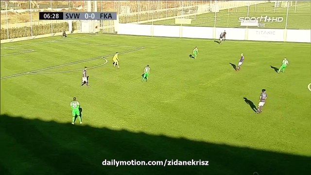 1-0 Felix Bartels - Werder Bremen vs Austria Wien 15.01.2016 HD