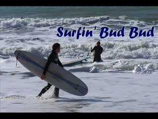 Surfin' Bud Bud
