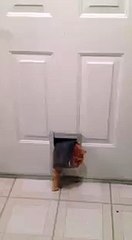 Новогодние праздники удались)))