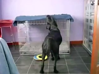 havalarda soğudu artık