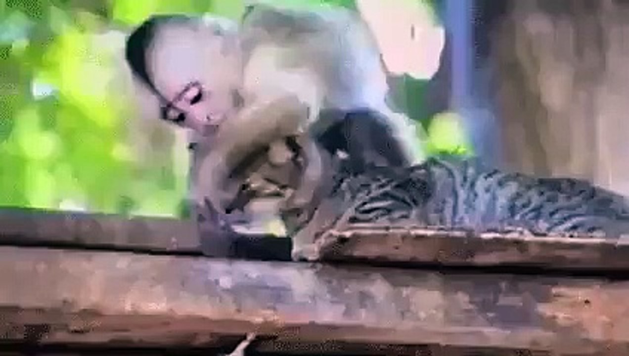 süper